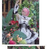 Maid Cosplay Costume Lolita Dress